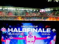 Cup-Halbfinale (c) maic