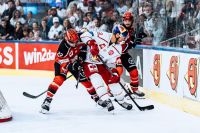 Red Bull Salzburg vs Pinguins Bremerhaven (c) Mackinger EC Red Bull Salzburg.jpg