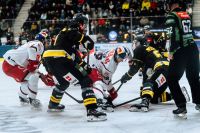 Lucas Thaler (c)  Fabian Weirather - EC Red Bull Salzburg.jpg