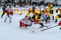 EC Red Bull Salzburg vs HC Falkensteiner Pustertal Wölfe (c) Mackinger EC RBS.jpg