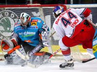 Alex Westlund und Doug Lynch (c) GEPA.jpg